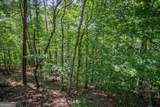 LOT 103R Mountain Creek Hollow Drive - Photo 18
