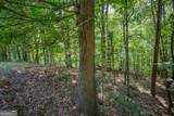 LOT 103R Mountain Creek Hollow Drive - Photo 19