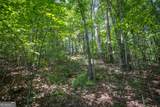 LOT 103R Mountain Creek Hollow Drive - Photo 24