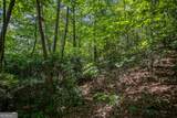 LOT 103R Mountain Creek Hollow Drive - Photo 25