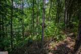 LOT 103R Mountain Creek Hollow Drive - Photo 26