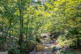 LOT 103R Mountain Creek Hollow Drive - Photo 30