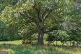 LOT 3 Old State Road - Photo 9