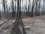 256 Blood Root Trail - Photo 15