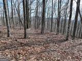 256 Blood Root Trail - Photo 17