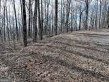 256 Blood Root Trail - Photo 2