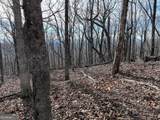 256 Blood Root Trail - Photo 20