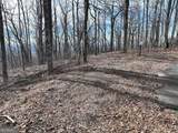 256 Blood Root Trail - Photo 24
