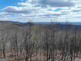 256 Blood Root Trail - Photo 50