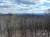 256 Blood Root Trail - Photo 51