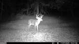 1 Bunch Road - Photo 46