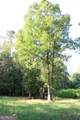 1224 Walker Road - Photo 49