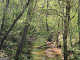 90 +/- ACRES English Road - Photo 10