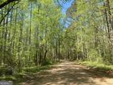 90 +/- ACRES English Road - Photo 11