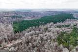 90 +/- ACRES English Road - Photo 15