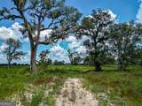 0 Nantze Springs - Photo 20