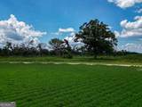 0 Nantze Springs - Photo 6
