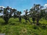 0 Nantze Springs - Photo 9