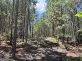 0 Black Creek Road - Photo 8