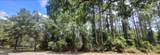 100 Amberjack Loop - Photo 15