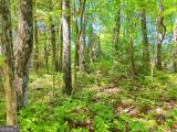 LOT 1 Pleasant Mountain Drive - Photo 12