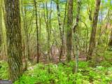 LOT 1 Pleasant Mountain Drive - Photo 13