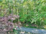LOT 1 Pleasant Mountain Drive - Photo 5