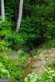 2199 Roosterville Road - Photo 82