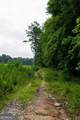 2199 Roosterville Road - Photo 84