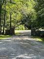 LOT 42 Squirrel Hunting Road - Photo 7