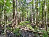 0 Abbeville Highway - Photo 12