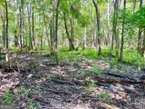 0 Abbeville Highway - Photo 38