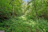 3.11 Acres Cove Road - Photo 11
