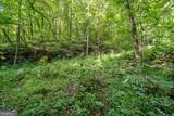 3.11 Acres Cove Road - Photo 12