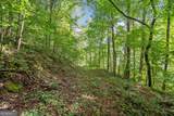 3.11 Acres Cove Road - Photo 14