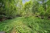 3.11 Acres Cove Road - Photo 3