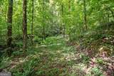 3.11 Acres Cove Road - Photo 4