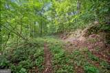 3.11 Acres Cove Road - Photo 5