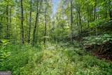 3.11 Acres Cove Road - Photo 9