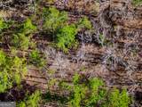 0 Laurel Branch Road - Photo 24