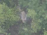 0 Laurel Branch Road - Photo 27