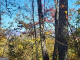 14 AC Old Burnt Mountain - Photo 1