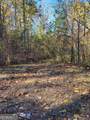 14 AC Old Burnt Mountain - Photo 11