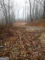 14 AC Old Burnt Mountain - Photo 12