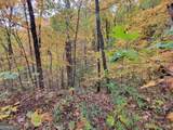 14 AC Old Burnt Mountain - Photo 20