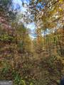 14 AC Old Burnt Mountain - Photo 21