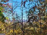 14 AC Old Burnt Mountain - Photo 3