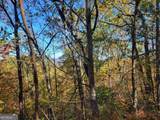 14 AC Old Burnt Mountain - Photo 5