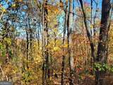 14 AC Old Burnt Mountain - Photo 6