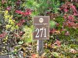 270R Stone Cliff Drive - Photo 35